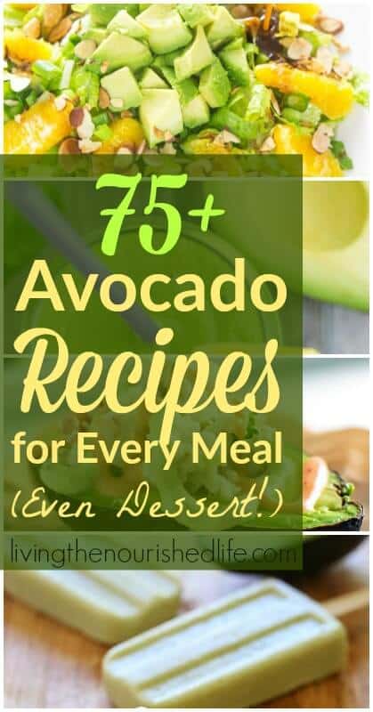 75+ Avocado Recipes for Every Meal (Even Dessert!)